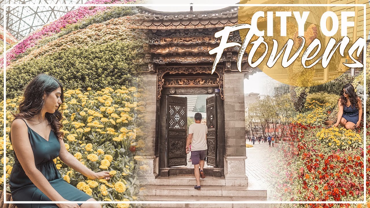 Kunming, Flower City | Most Beautiful City in CHINA,云南昆明自由行