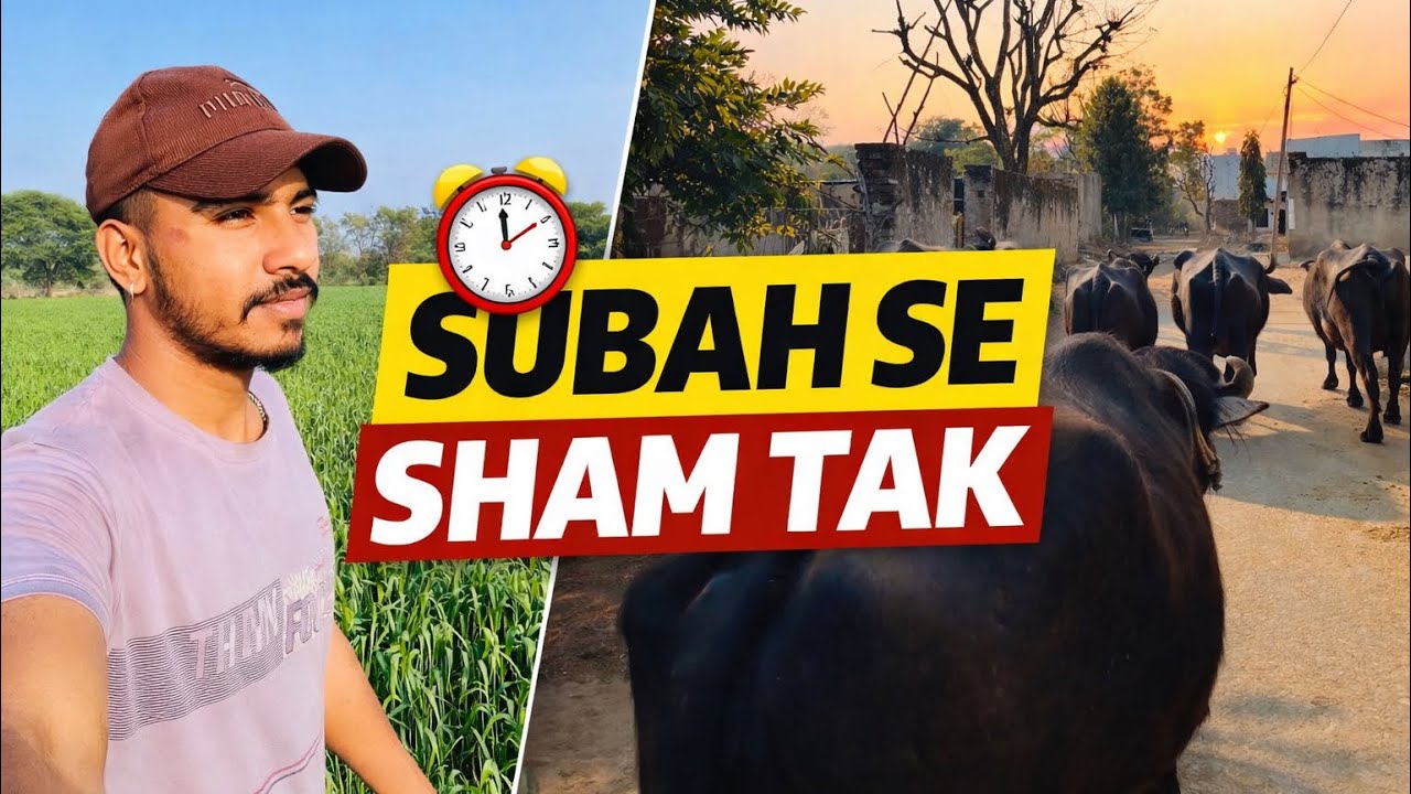 Aaj pure din kheti aur gaon ka kaam | Village Daily Vlog 