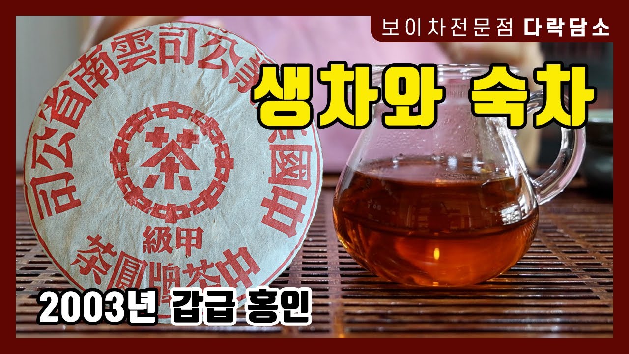보이차 종류 생차와 숙차의 차이점 | 2003년 갑급 홍인 #보이차 #방위고수차