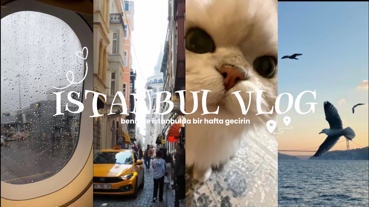 ISTANBULDA BIR HAFTA🪽 (tam bir hafta degil ama olsun) ikinci yukleyisim cunku ilki kalkti😔