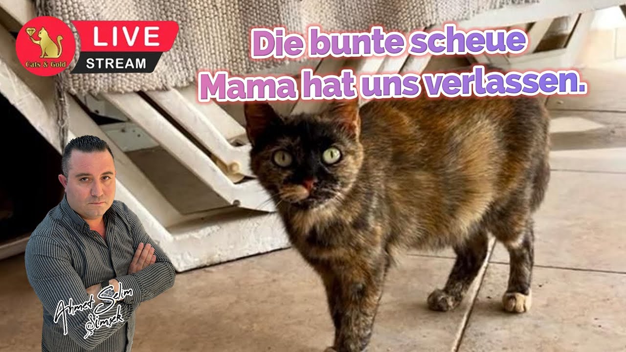 Die bunte scheue Mama Hat uns verlassen.