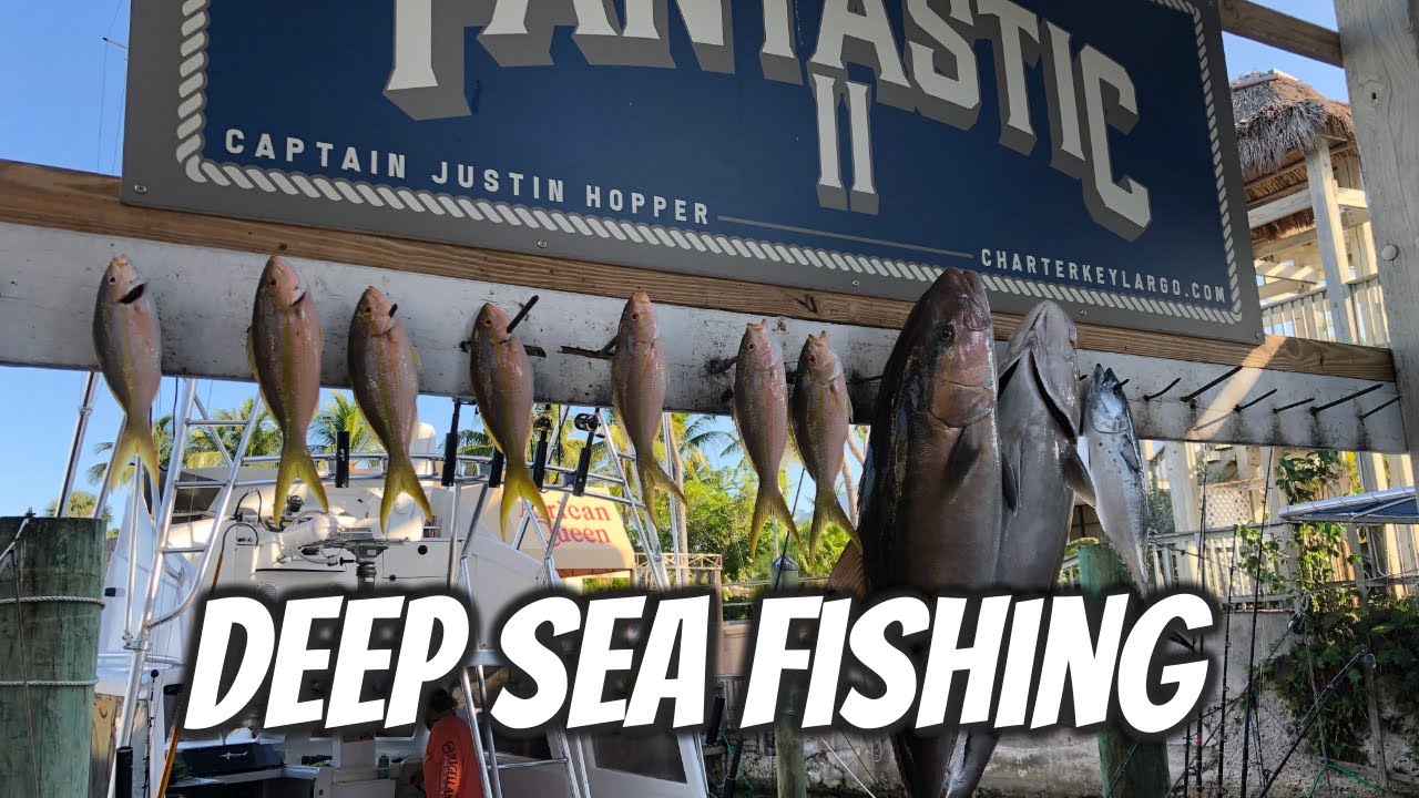 Deep Sea Fishing in Florida Keys (Key Largo)