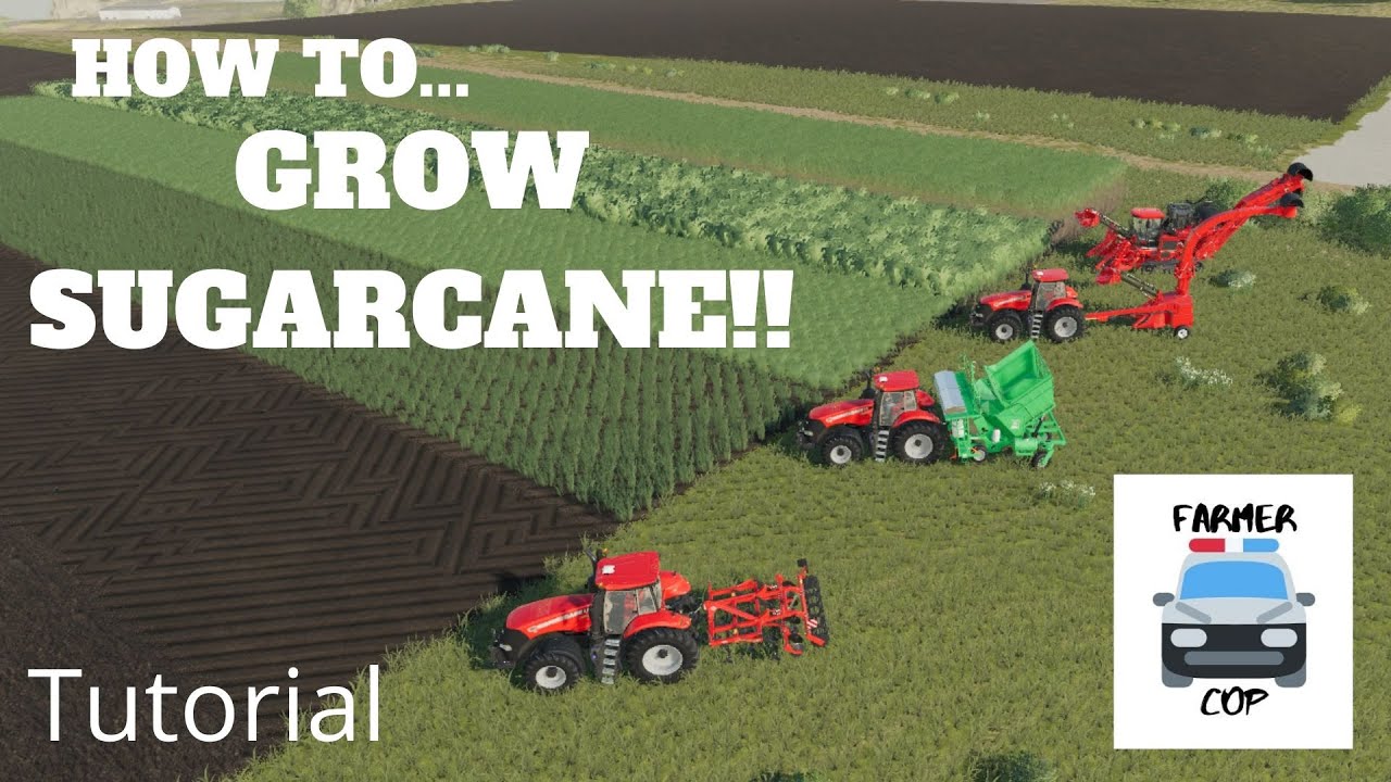How to Grow Sugarcane in Farming Simulator 19!!