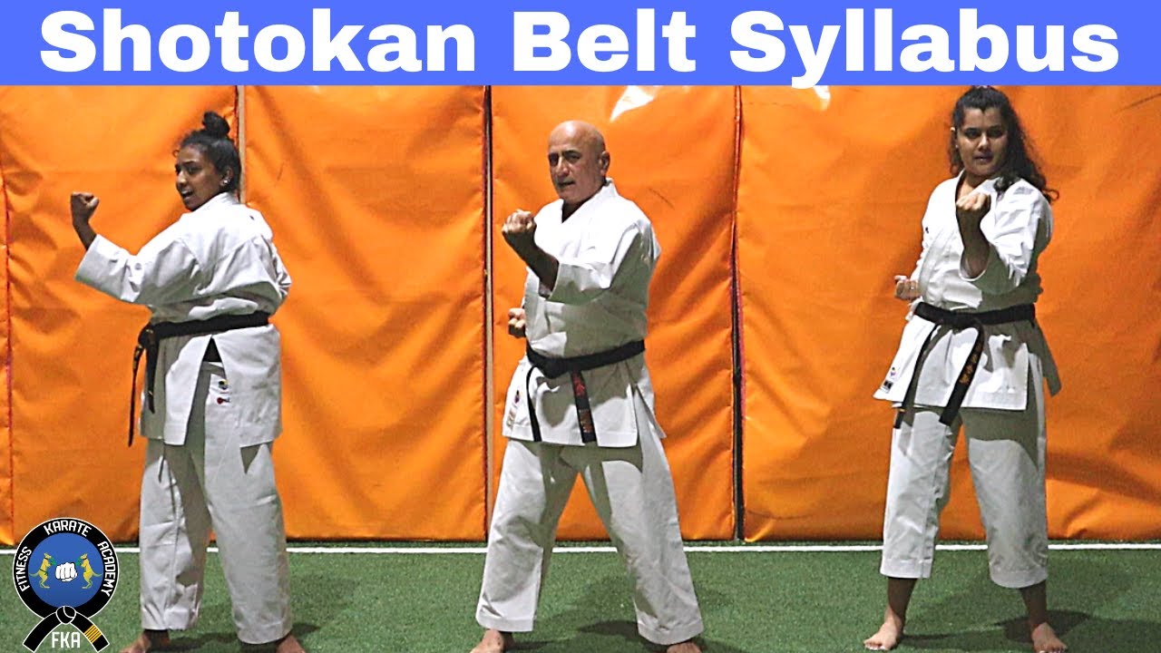 karate Shotokan basic techniques belt requirements
