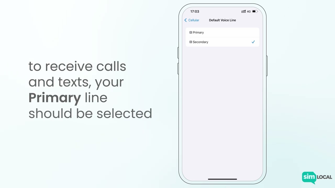 How to double check that your eSIM is installed correctly (iOS) | Sim Local