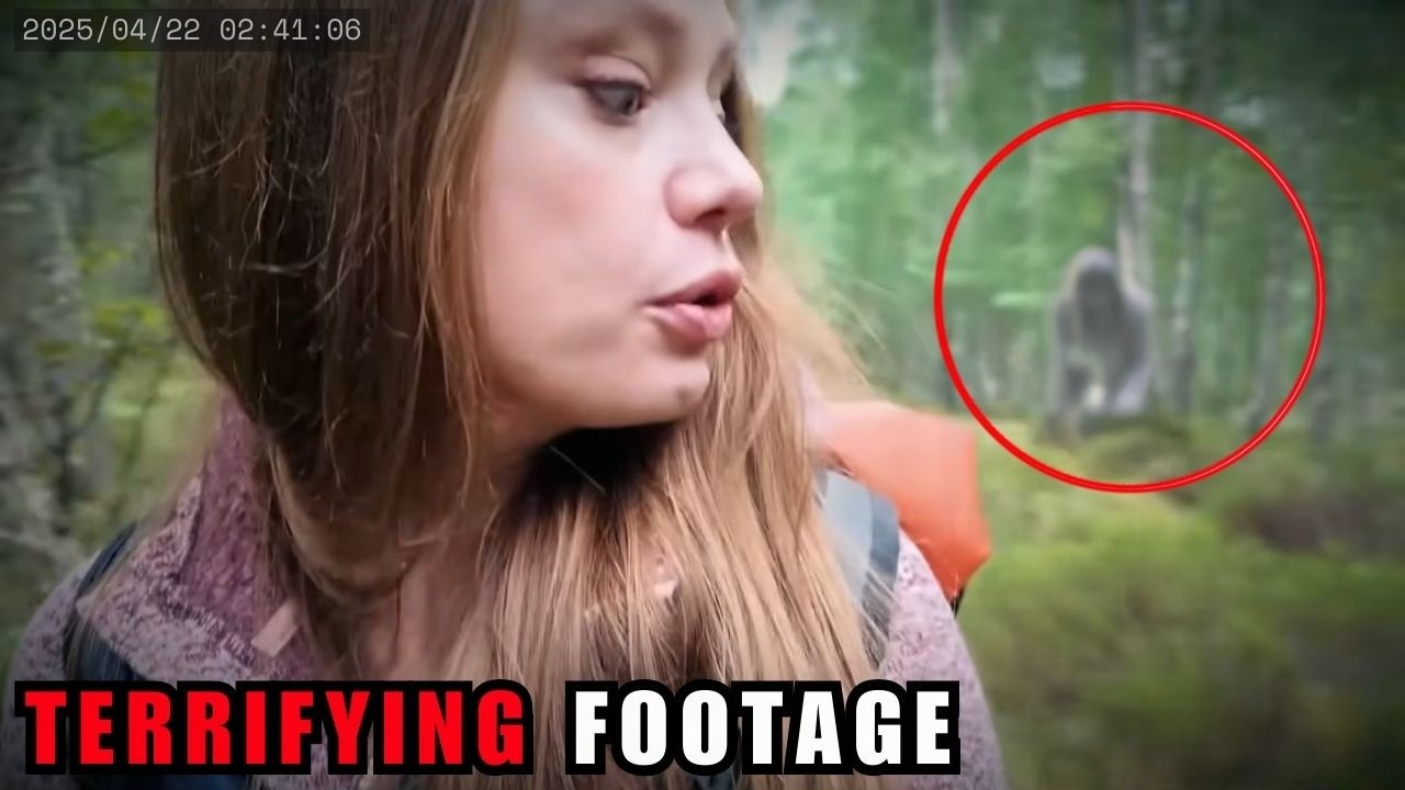 9 INTENSE Forest Encounters Caught on Camera