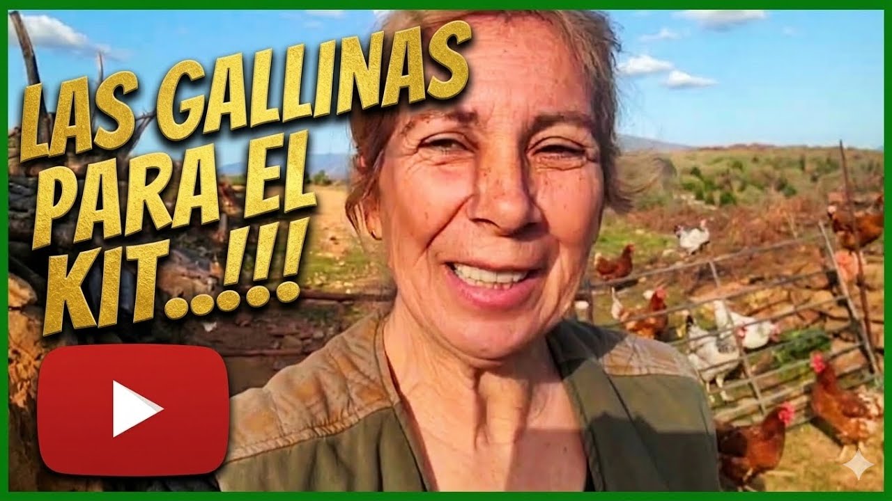 LAS GALLINAS PARA LA SUPERVIVENCIA!!