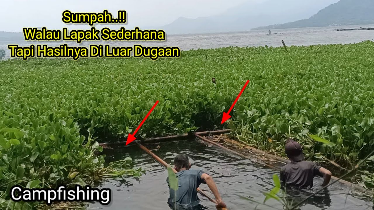Campfishing Waduk Jatiluhur Terbaru //Sumpah Di Bikin Pegel,Dapat Sambaran Lalawak Bertubi2