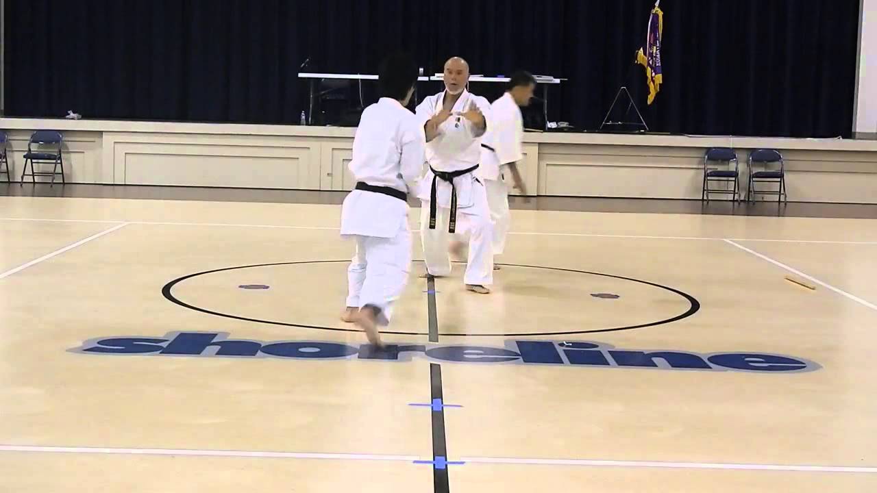 Sanseiryu Bunkai by Shinjo Sensei