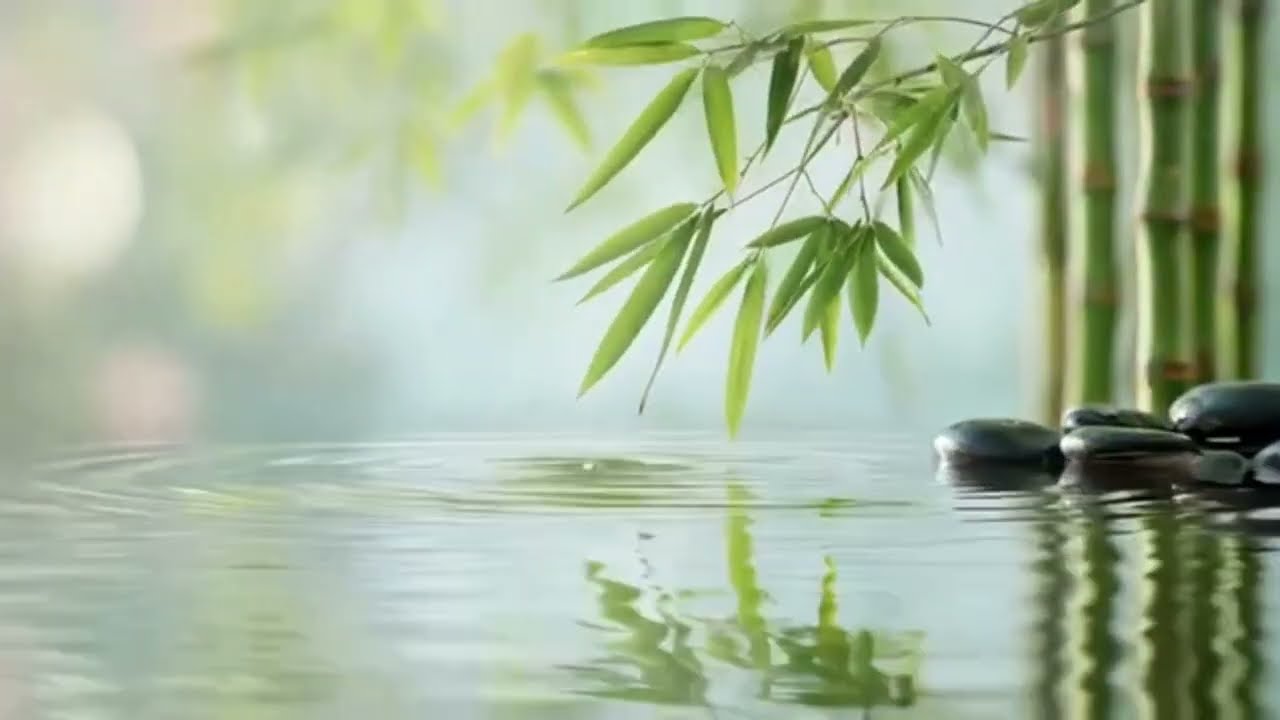 Zen Meditation Music  Calm Mind, Clear Thoughts