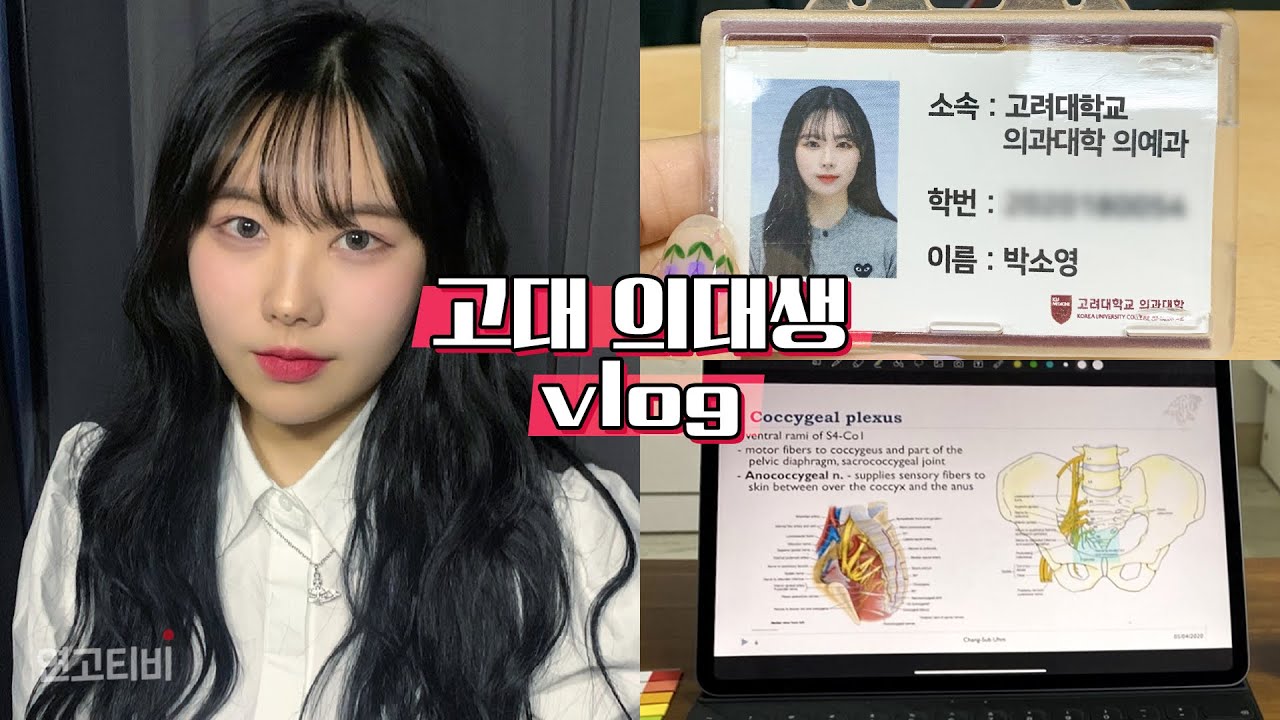고려대 의대생 vlog | 의학통계학 벼락치기, 해부 실습 썰, 과외 | 연고티비