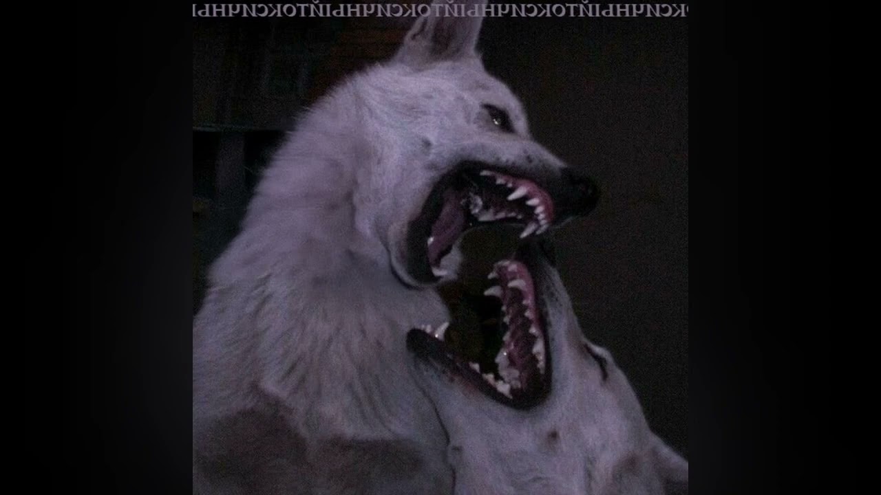 KIXOT (slowed)