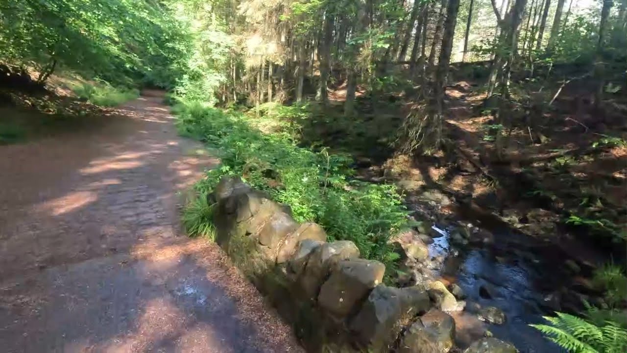 Blairadam Forest mostly along the Kelty Burn 22 06 2025 By Mobility Scooter