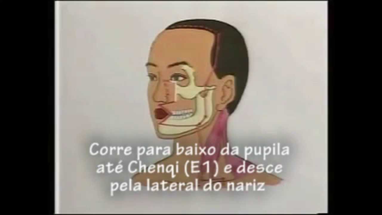 Meridianos do Estômago e do Baço
