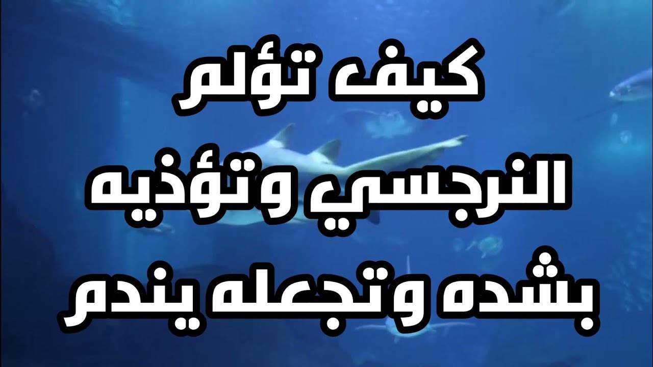 كيف تؤلم النرجسي وتؤذيه بشده وتجعله يندم