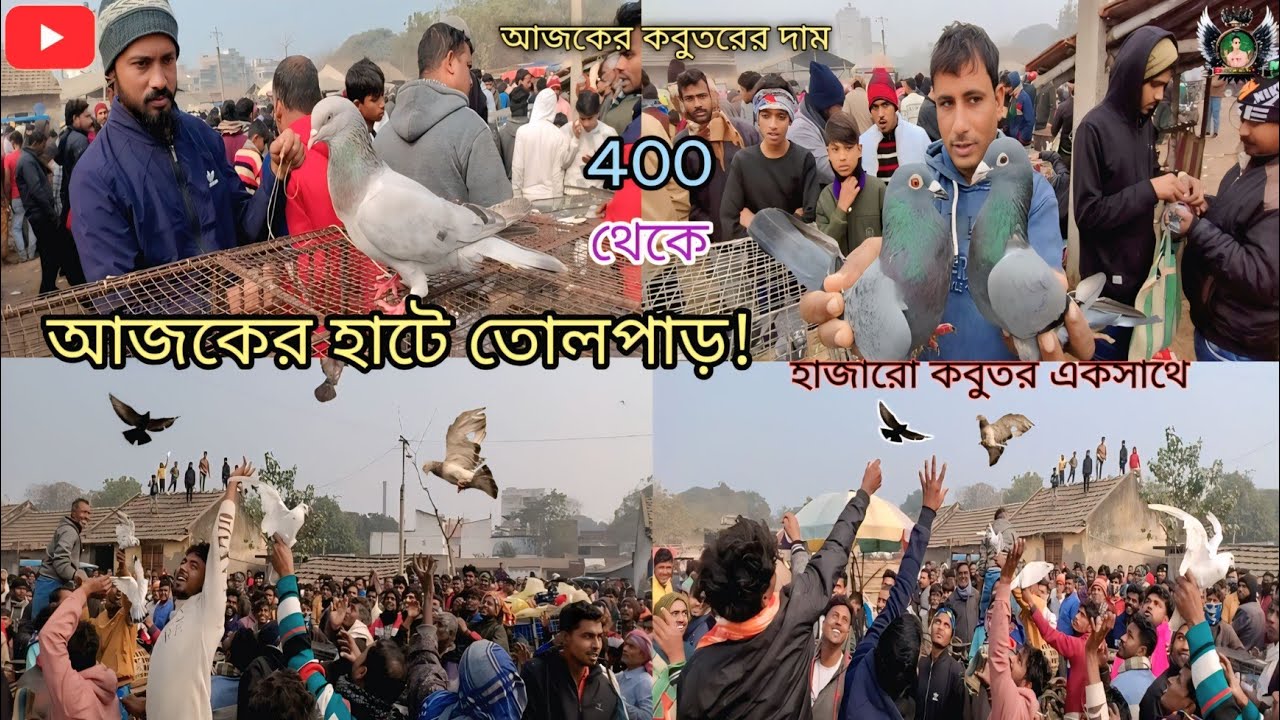 কবুতরের হাটে আজ একি দেখলাম! আজকের হাটে অবাক🔥 কান্ড 🕊️ 6, 2026 #কবুতর #pigeonlover#pigeon #video 