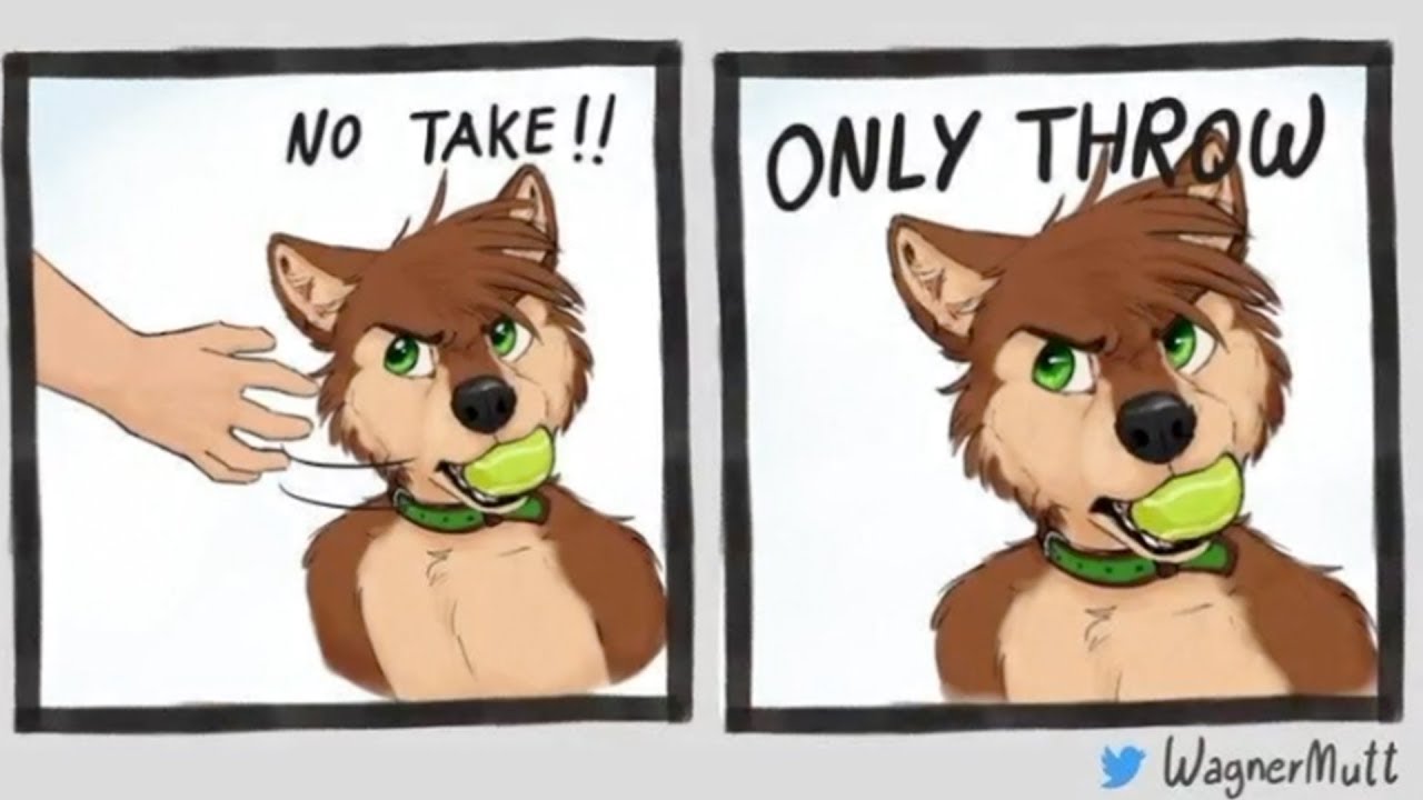 NO TAKE ONLY THROW