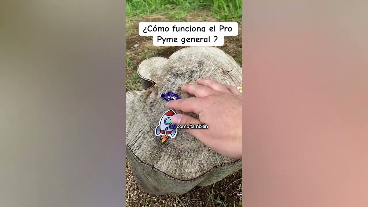 ¿Cómo funciona el Pro Pyme General 2024?