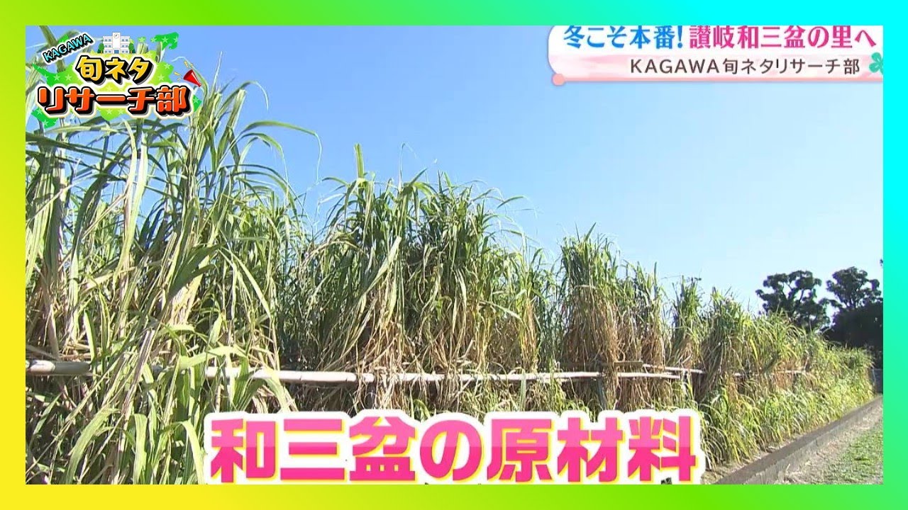 冬こそ本番! 讃岐和三盆の里へ！！｜KAGAWA旬ネタリサーチ部（2026年1月16日放送）