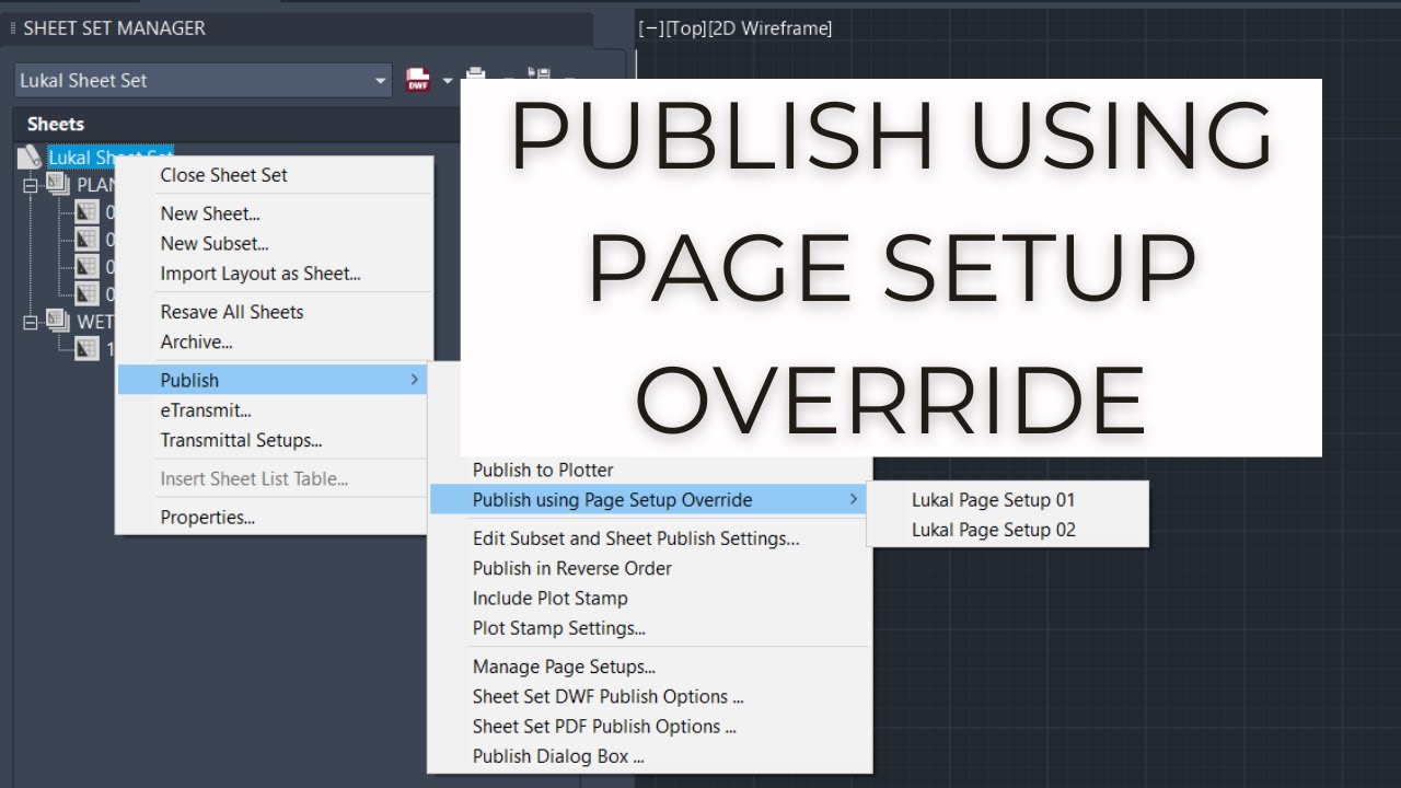 Publish Using Page Setup Override - AutoCAD for Beginners