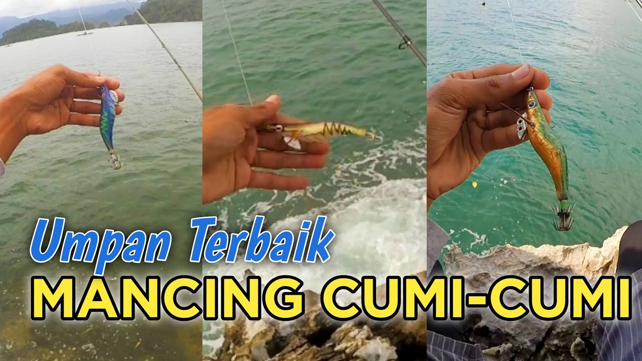 UMPAN MANCING CUMI CUMI, PILIH WARNA EGI SESUAI KONDISI AIR LAUT