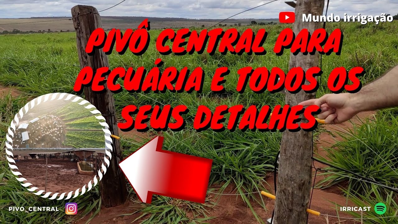 PIVÔ CENTRAL PARA PECUÁRIA EM FUNCIONAMENTO