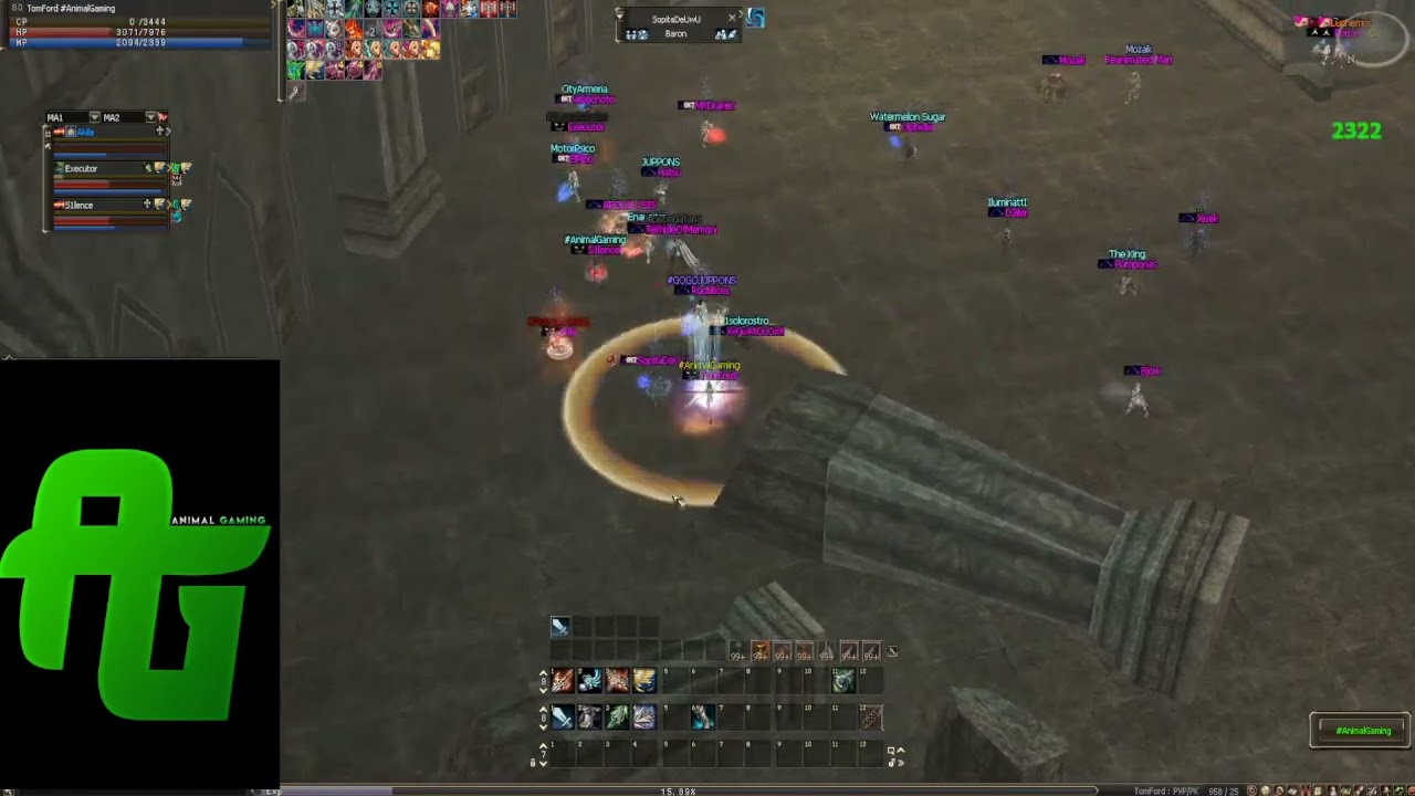 +20 Dynasty Bow (Focus) vs ALL