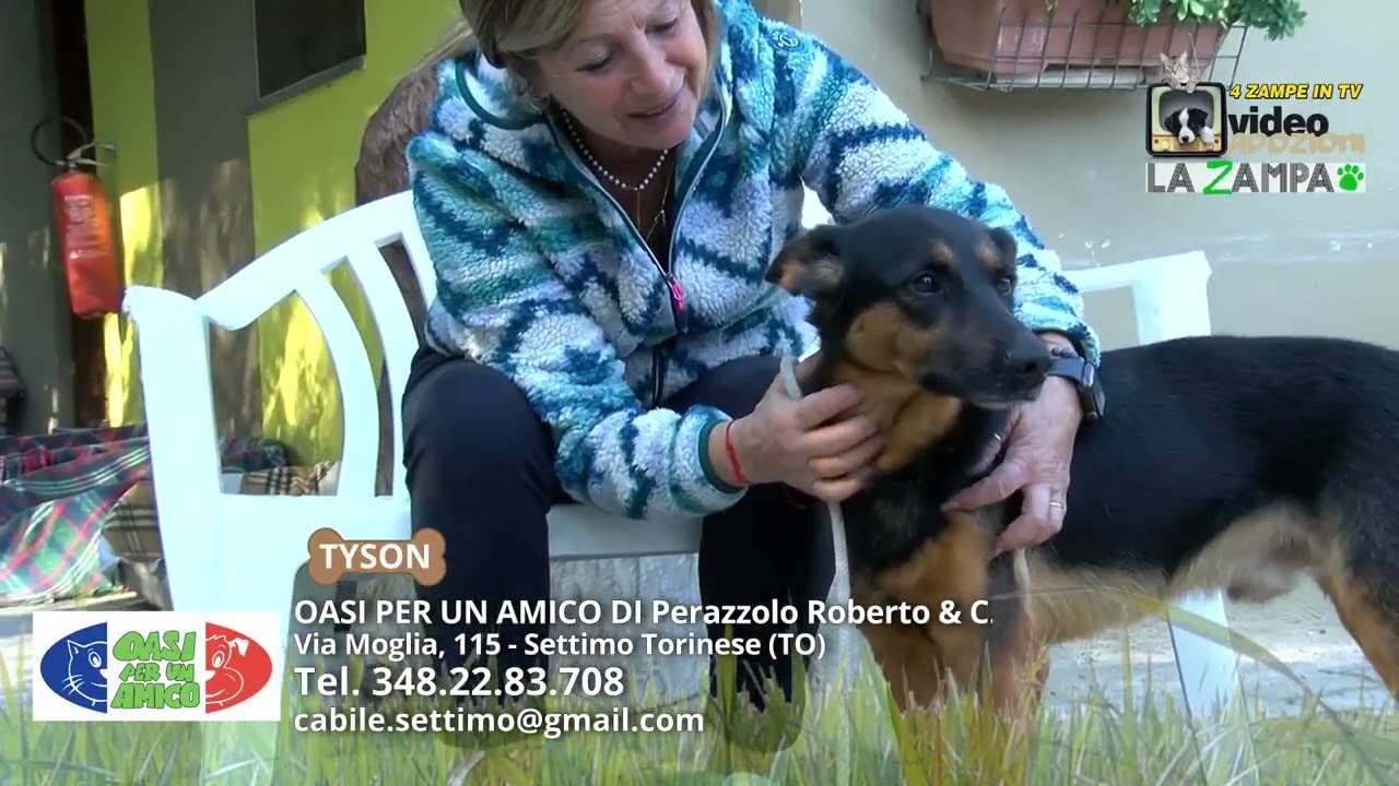 OASI PER UN AMICO SETTIMO (2) Puntata 1532