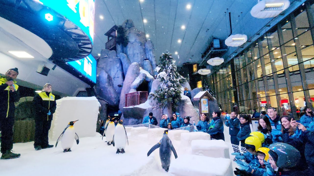 Ski Dubai Tour | Snow ❄️ |Penguin🐧 |SKI 🏂 #4K #funtimes #skidubai