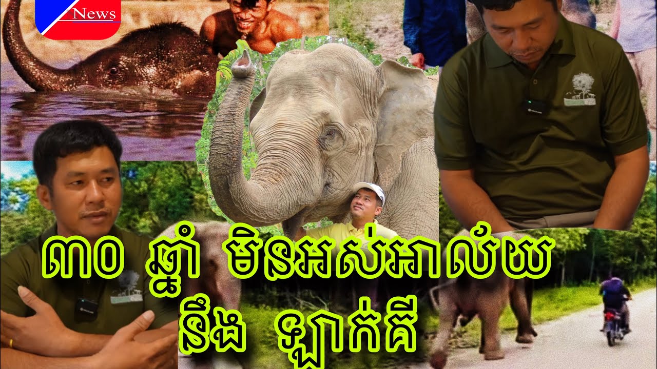 ព៏ត៌មាន2025ធ្វើការងារ30ឆ្នាំខ្ញុំពិតជាទន់ជ្រាយណាស់ អ្នកមកបានតែ5ខែពិតជាមានអំណាចខ្លាំង