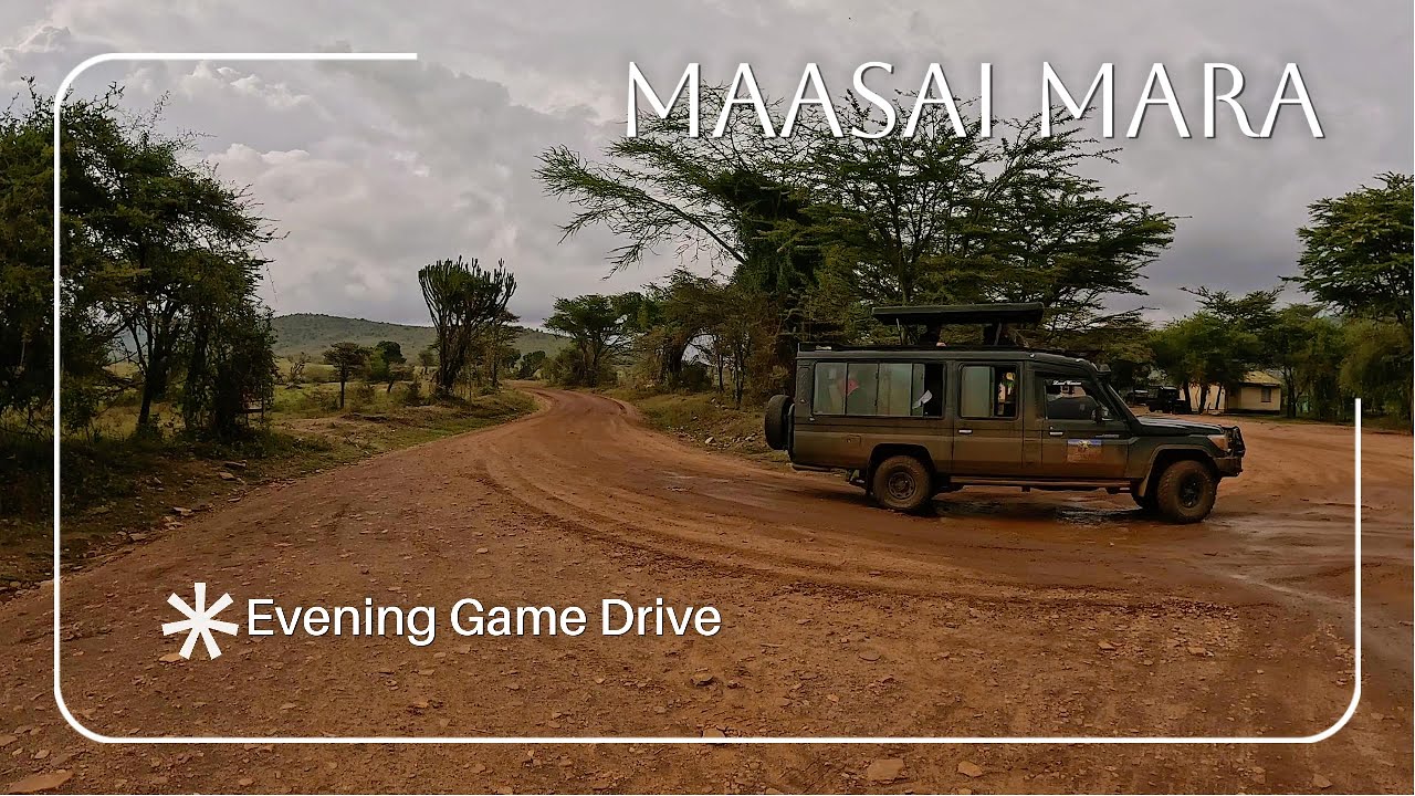 Maasai Mara Evening Game Drive