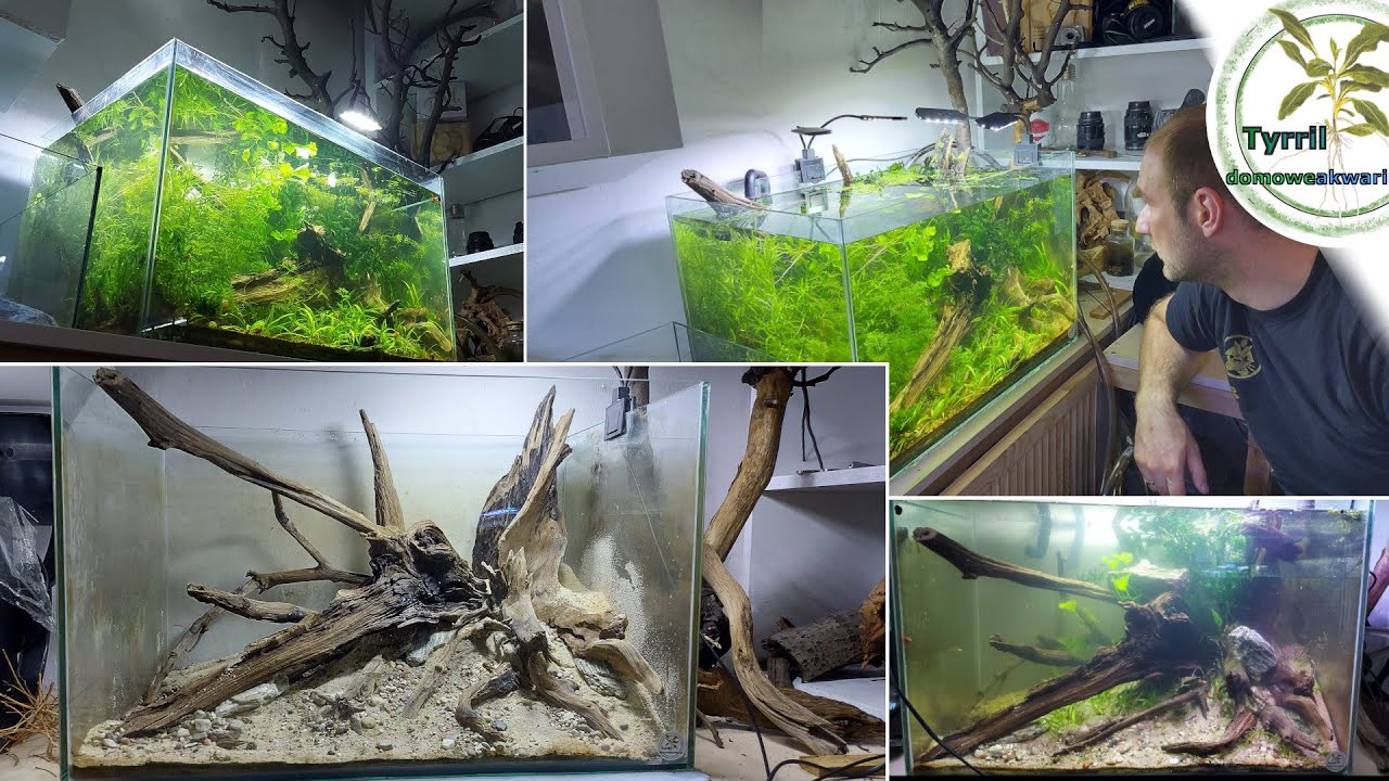 Zakładamy 100l akwarium naturalne na ziemi ogrodowej. Start akwarium.