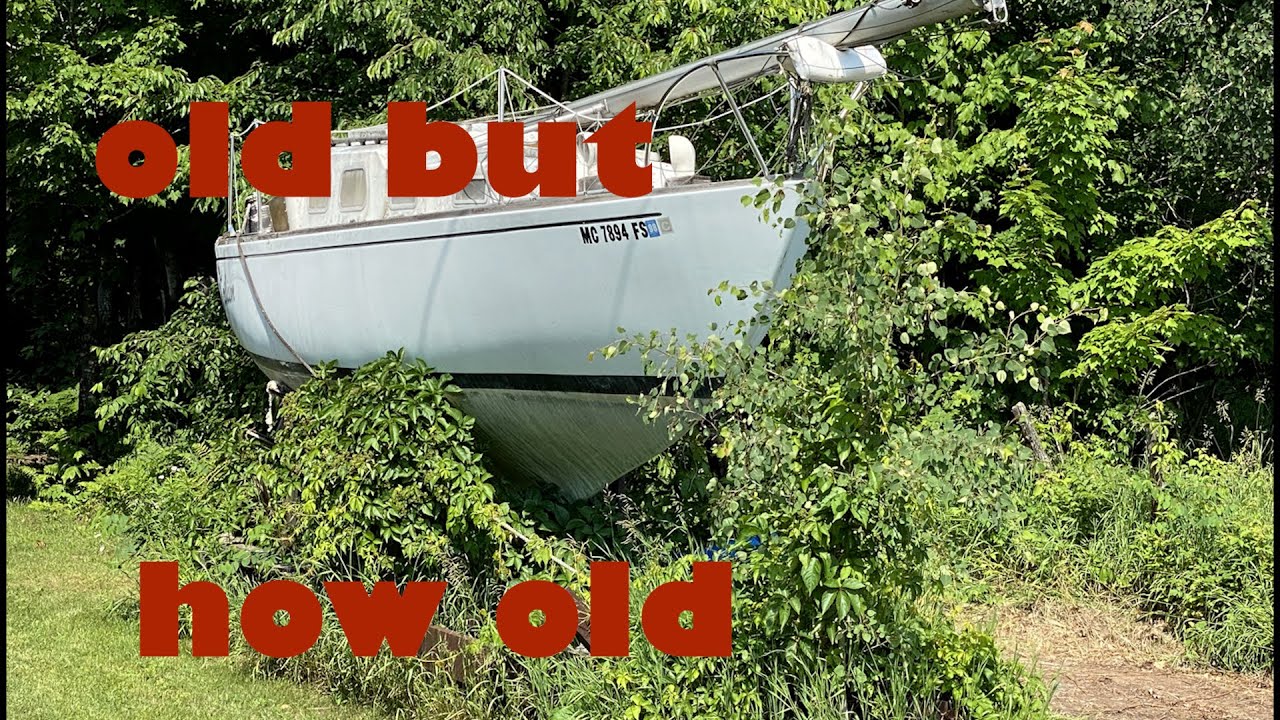 OLD BOATS AND OLD MEN/THE WAYNE DIARIES