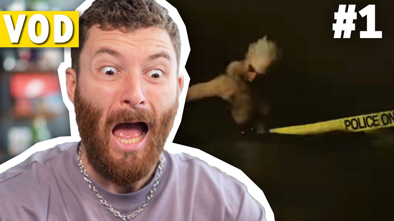 Je vais finir par clamser en live c'est trop (Madison #1)