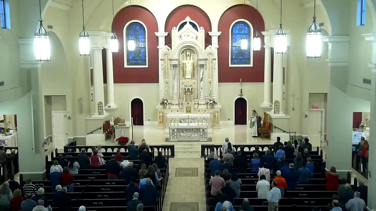 Second Sunday in Ordinary Time (Vigil) 1/118//2026
