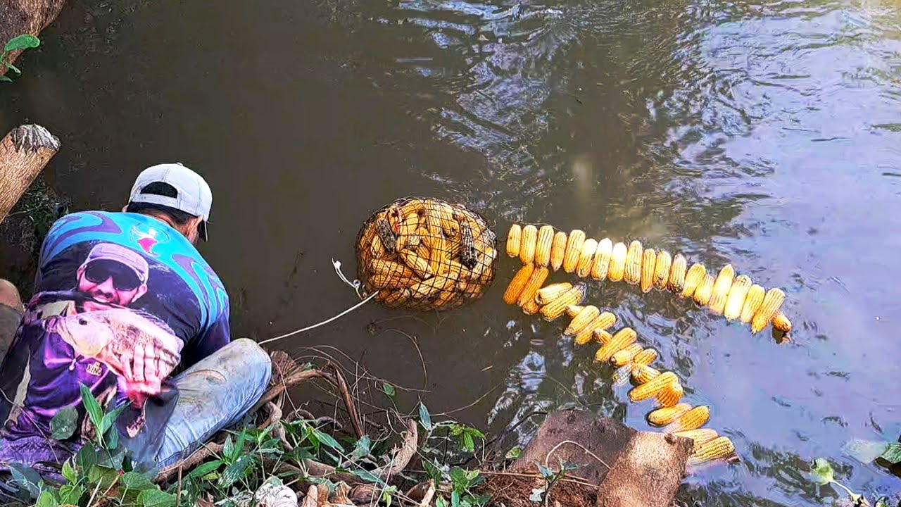MELHOR CEVA PARA PESCAR PIAU&Ccedil;U , PACU E PIAU 3 PINTAS /PESCARIA DE PIAU&Ccedil;U NA VARA DE BAMBU.