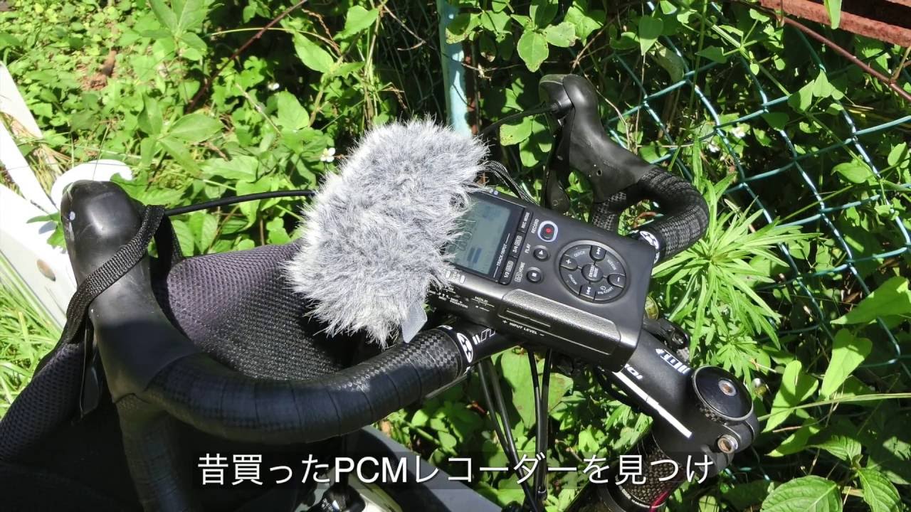 谷津道探検サイクリング　いろいろな愉しみ（生録編）