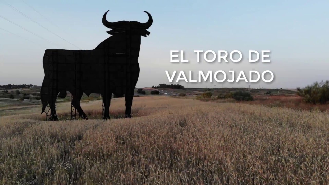 El Toro de Valmojado