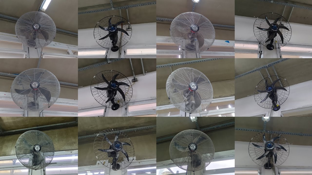 Alguns ventiladores da minha escola 