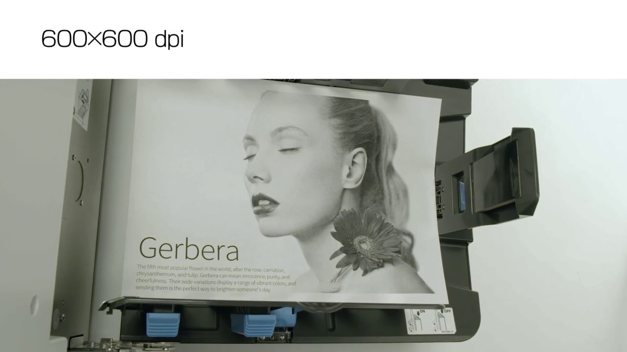 RISO MF- und SF-Serie