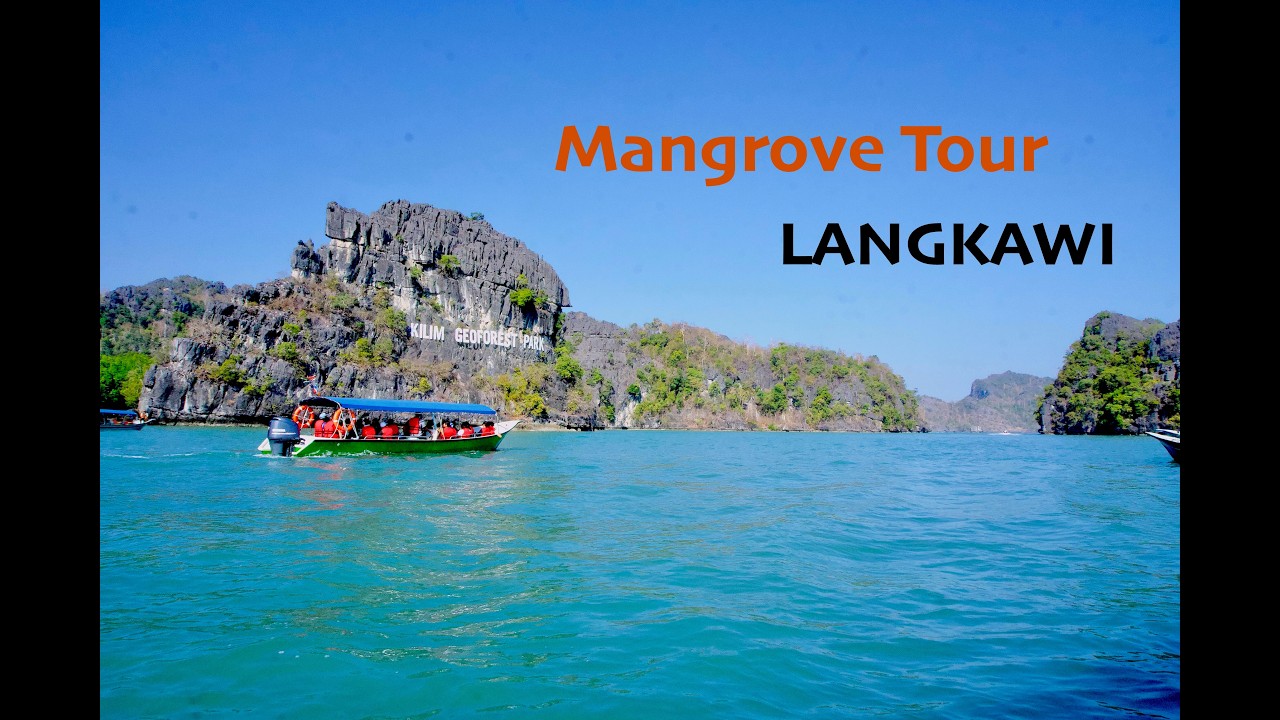 Kilim Geoforest Park Mangrove Tour – Must-Do in Langkawi!