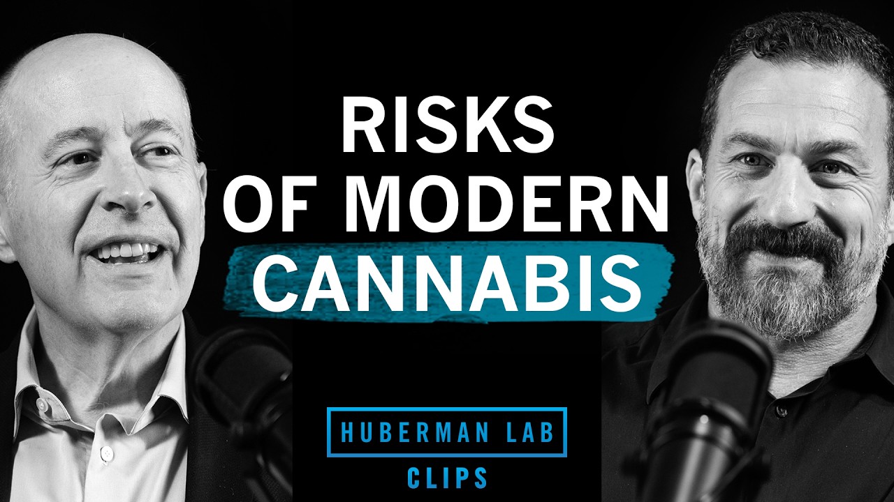 How Dangerous is Modern Marijuana? | Dr. Keith Humphreys & Dr. Andrew Huberman