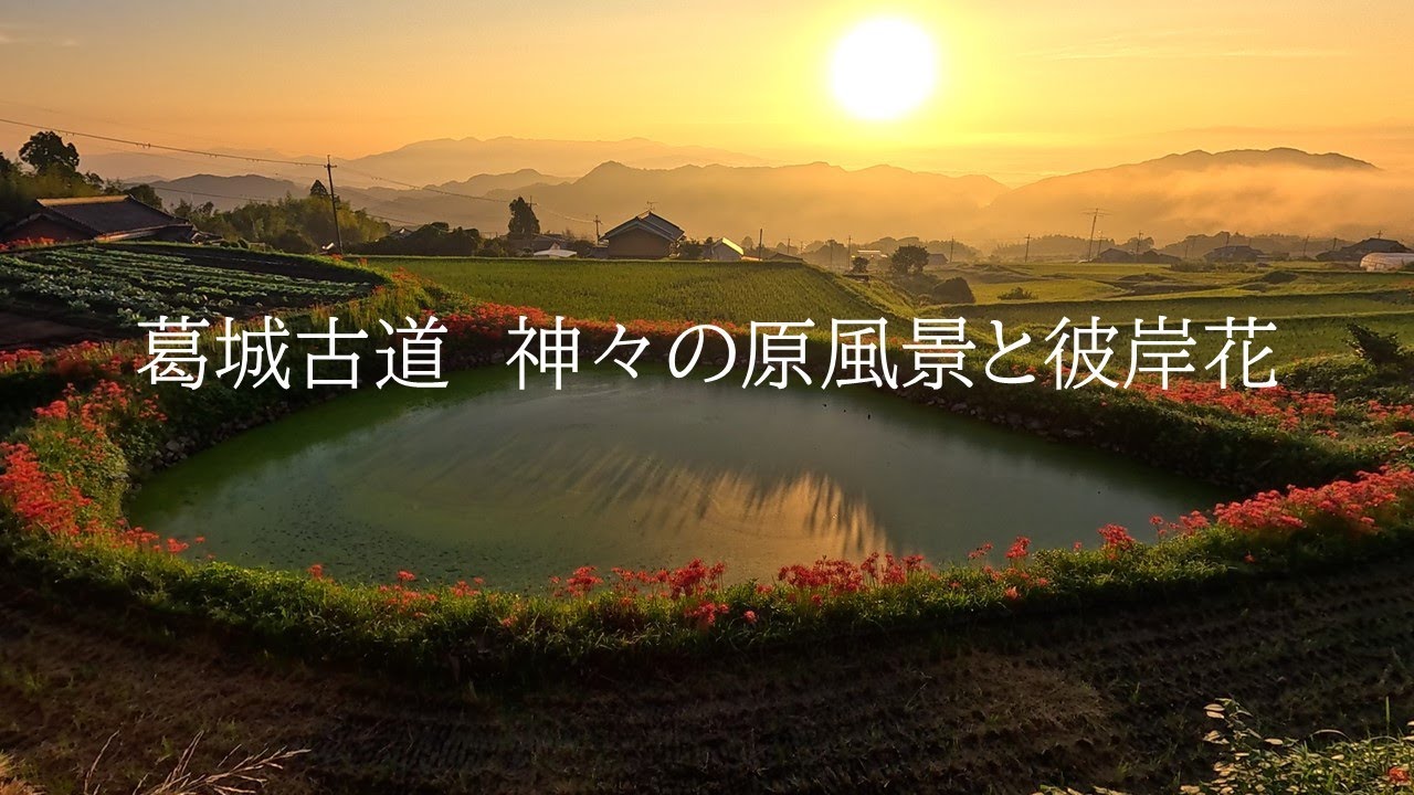 奈良　葛城古道　神々の原風景と彼岸花