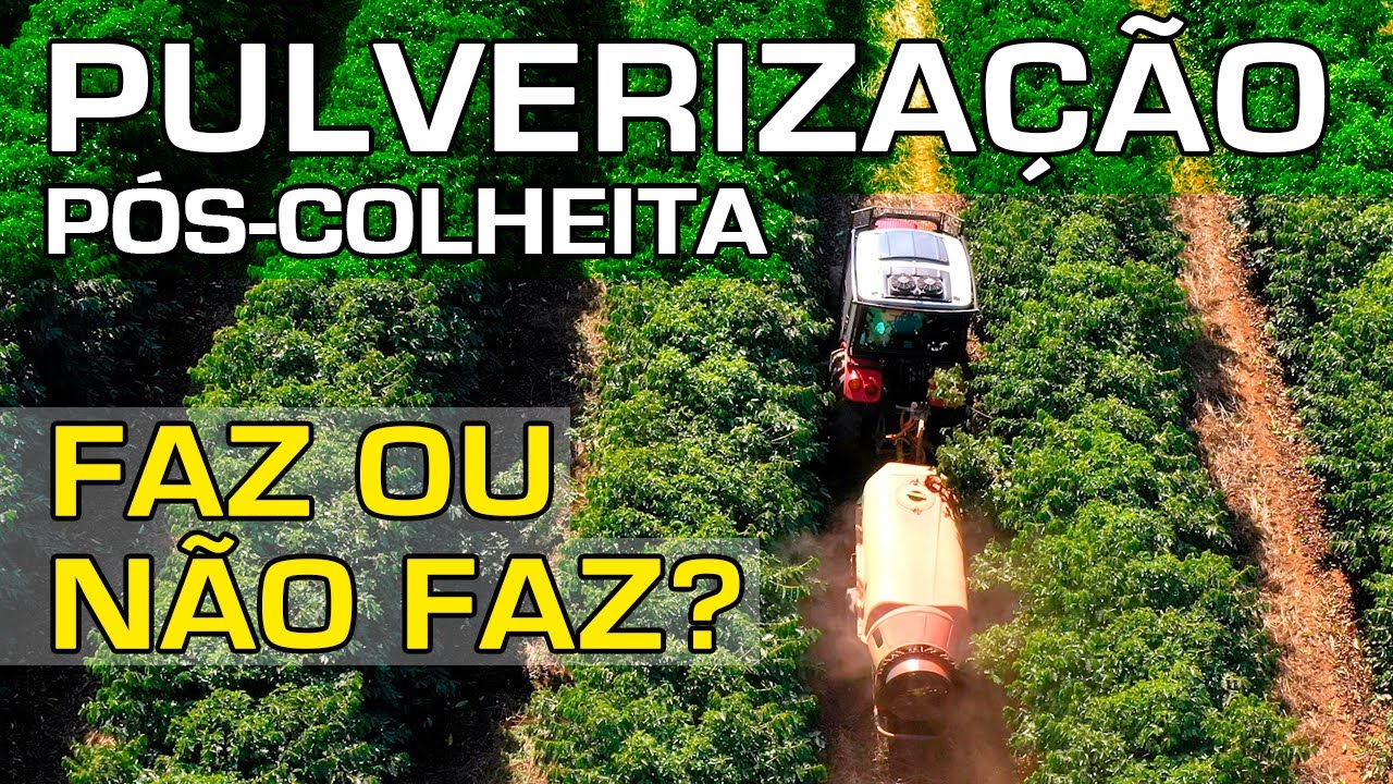 Pulverização pós-colheita | No Pé do Café