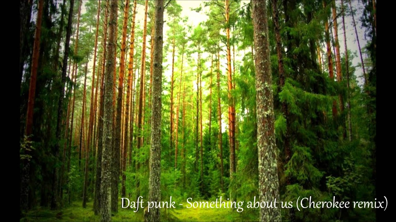''Waving Pines'' An EDM Compilation By Lowlander [HQ]
