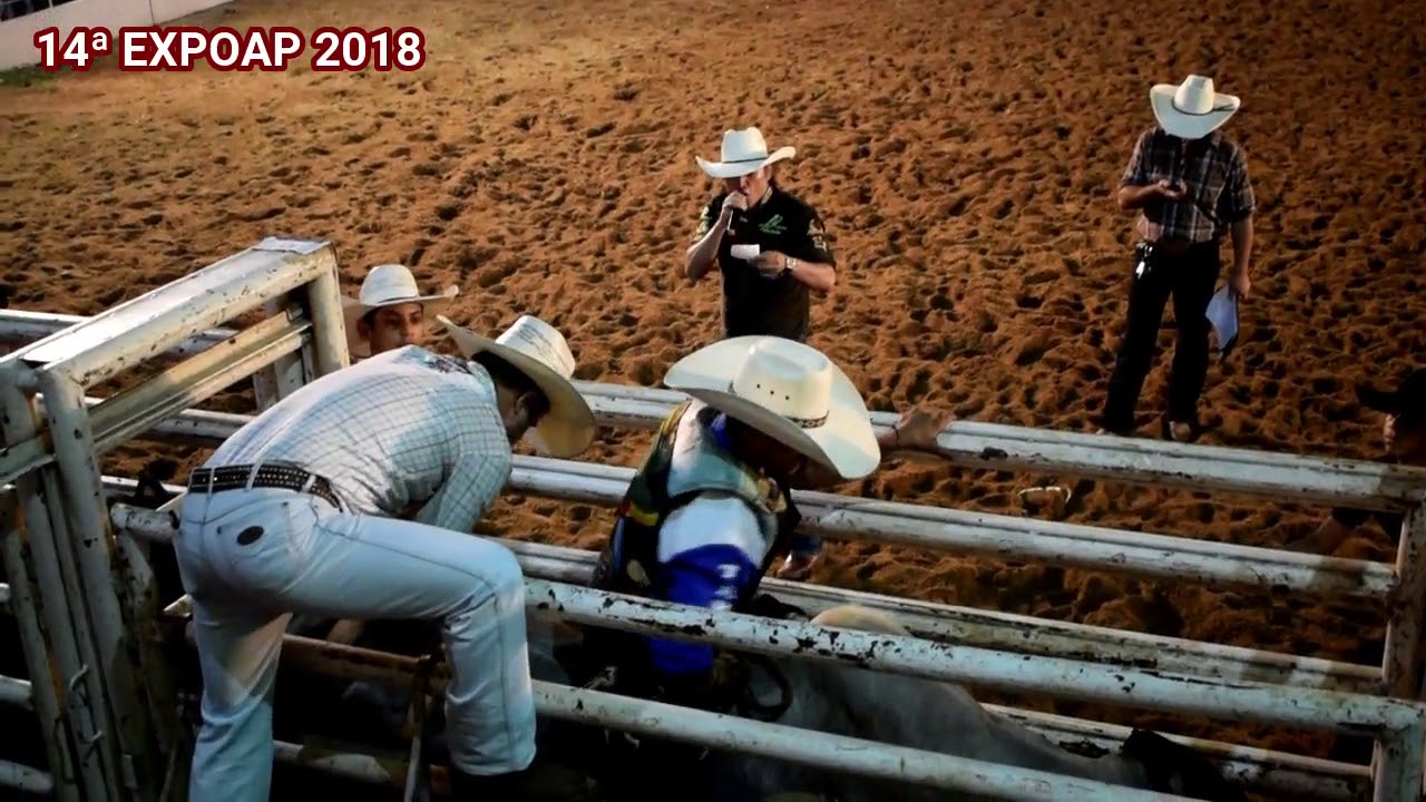 14ª EXPOAP 2018   RODEIO  16 11 2018