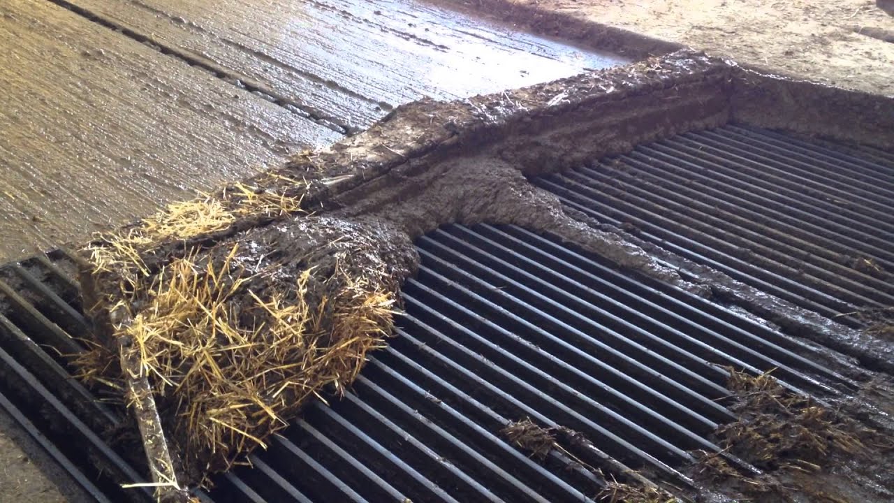 RACLEUR LISIER FUMIER GRILLE SEPARTEUR MANURE SCRAPEUR WOLF