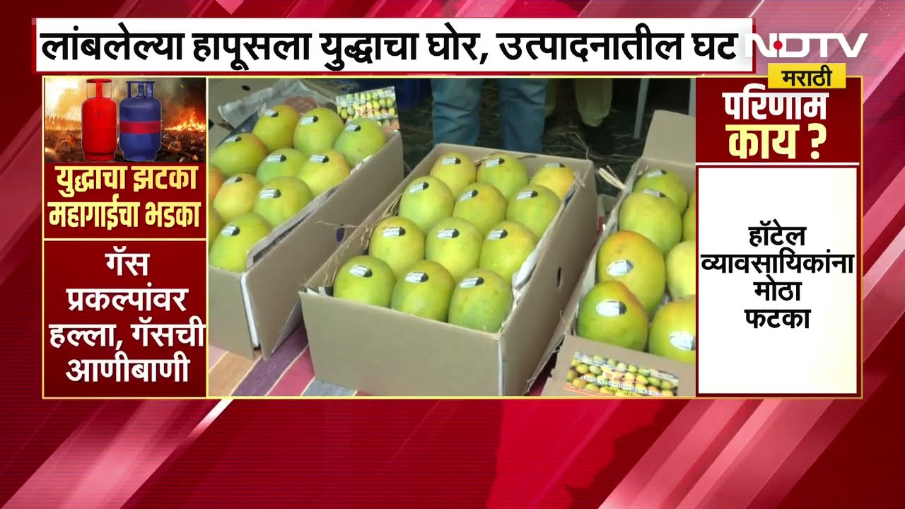 Alphonso mango exports crisis । हापूस निर्यातीच्याआड युद्धाचे ढग, निर्यातीवर  अनिश्चिततेचं सावट