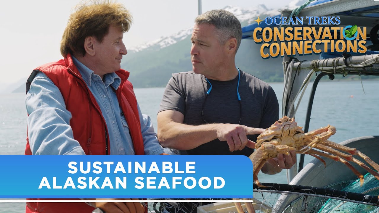Ocean Treks Conservation Connections - Sustainable Alaskan Seafood | Princess Cruises