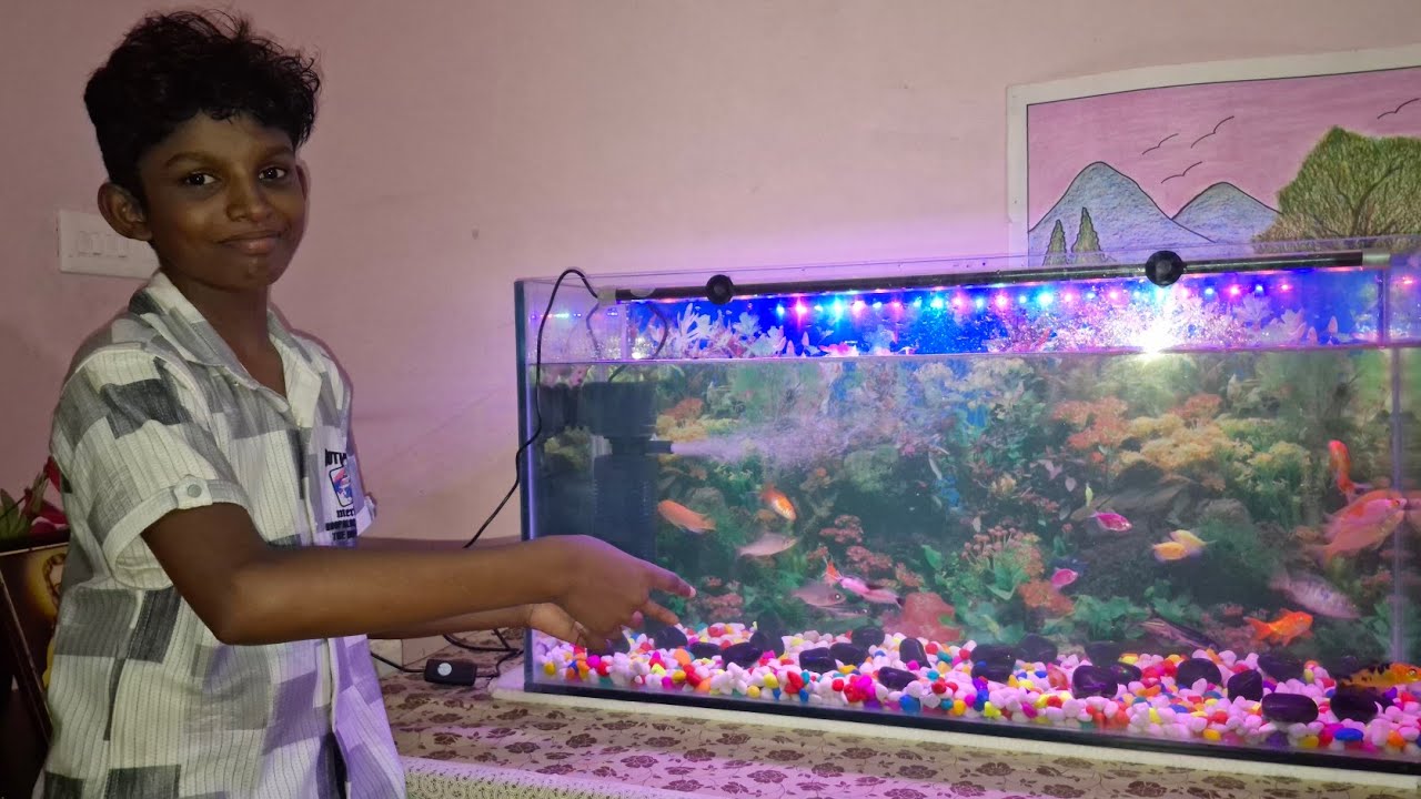 Monster Aquarium Set up | ഭീകര അക്വാറിയം സെറ്റ് ചെയ്തു 